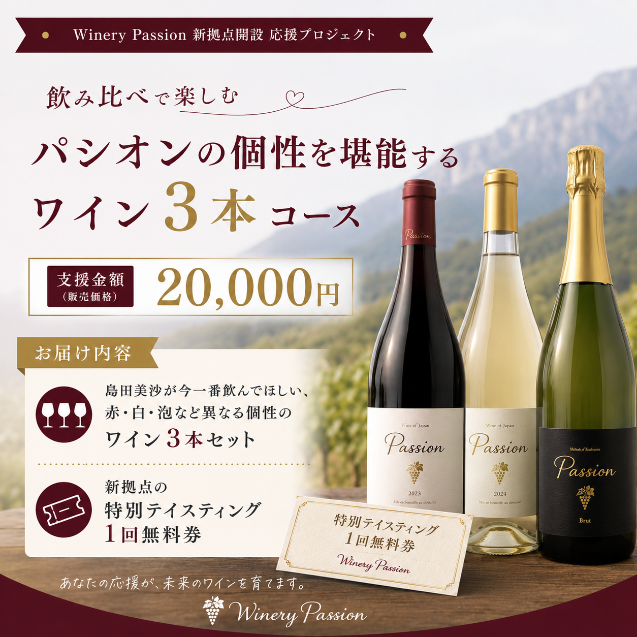 【飲み比べで楽しむ】パシオンの個性を堪能するワイン 3本コース